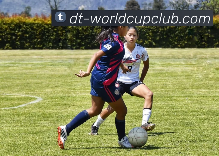 世界杯投注APP 高清赛事图